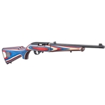 RUGER 10/22 TAKEDOWN USA SHOOTING TEAM