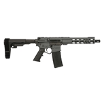 Wise Arms WA-15 300BLK OUT GRAY 10.5"