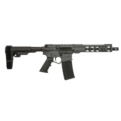Wise Arms WA-15 300BLK OUT GRAY 10.5"